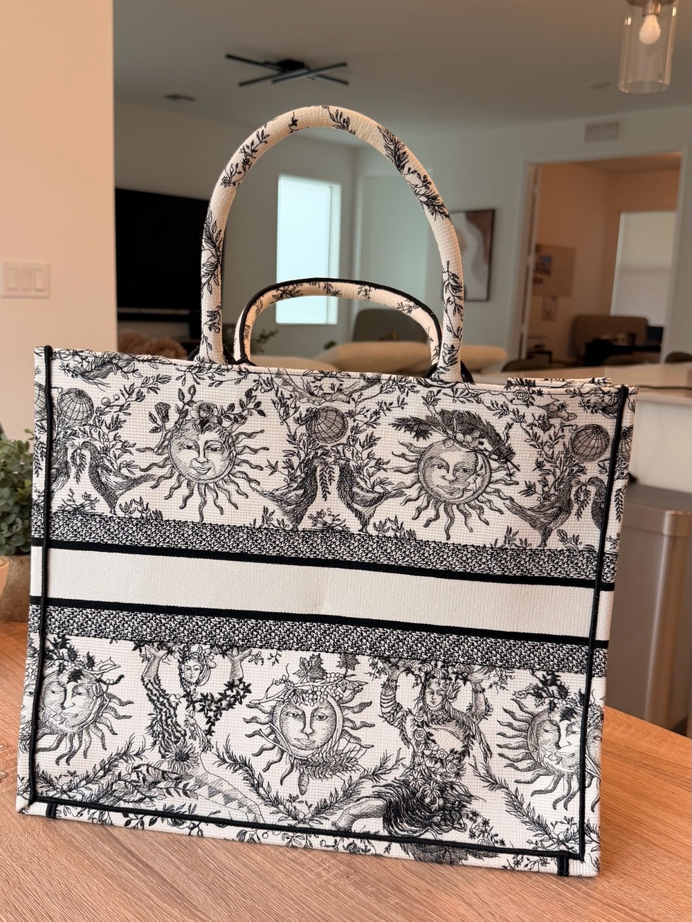 Dior Cream and Black Toile de Jouy Book Tote - Picture 5 of 13